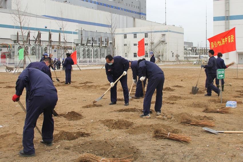 两级机关干部创建文明厂区植树活动